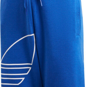 Adidas Big Logo Trefoil Shorts Drenge Tøj 152