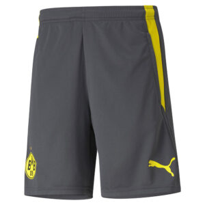 Puma Dortmund Træningsshorts Herrer Tøj Grå S