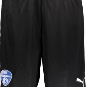 Puma Fc Skanderborg Teamgoal 23 Fodboldshorts Herrer Tøj Sort Xl