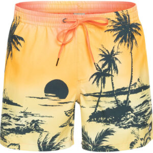 Quiksilver Everyday Paradise Volley 15" Badeshorts Herrer Tøj Gul L