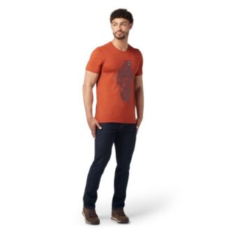 Smartwool Always Explore Short Sleeve Graphic Tee Slim Fit - Herre - Str. S - Orange