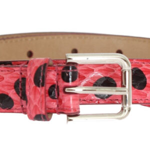 Dolce & Gabbana Polka Dot Snakeskin Belt with Silver Buckle