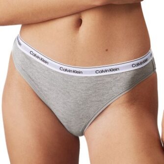 Calvin Klein Trusser 5P Modern Logo Bikini Briefs Flerfarvet bomuld Medium Dame