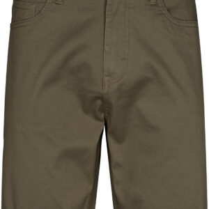 Etirel Broome Shorts Herre Grøn