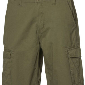 Etirel Workwear Shorts Herre Grøn