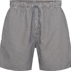 Firefly Sea Stripe Badeshorts Herre Grøn