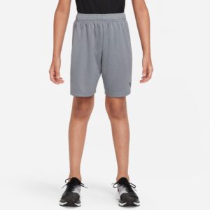 Nike Drifit Træningsshorts Herre 122128 / Xs Grå
