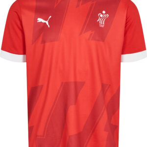 Puma Dhf Hjemmebanetrøje Voksen Unisex Rød