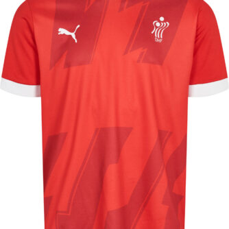 Puma Dhf Hjemmebanetrøje Voksen Unisex Rød