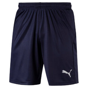 Puma Liga Core Træningsshorts Herre Xs Blå