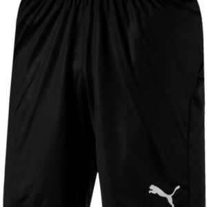 Puma Liga Core Træningsshorts Herre Xs Sort