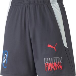 Puma Neymar Jr Futebol Træningsshorts Unisex 128 Grå