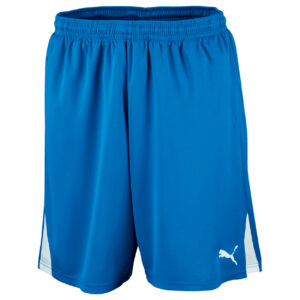 Puma Team Shorts Unisex 152