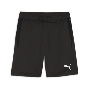 Puma Teamgoal Shorts Herre Xl Sort