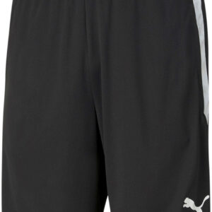 Puma Teamliga Training Shorts Herre Xs Sort