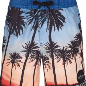 Quiksilver Sunset Vibes Volley Herre 8 År Multifarvet