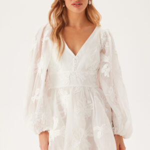 Eva Chiffon Mini Dress