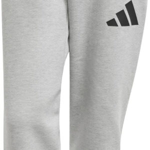 Adidas Z.n.e Bukser Herre Grå