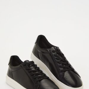 Cody Sneakers
