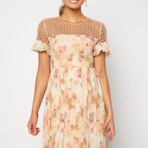 Dana Chiffon Dress