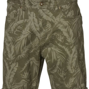 Etirel Broome Aop Shorts Herre Grøn