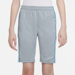 Nike Drifit Academy Shorts Unisex 122128 / Xs Grå