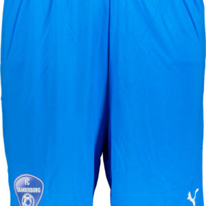 Puma Fc Skanderborg Teamgoal 23 Fodboldshorts Herre Blå