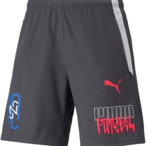 Puma Neymar Jr Futebol Træningsshorts Herre Xs Grå
