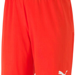 Puma Teamgoal 23 Knit Shorts Herre Rød