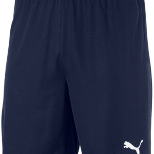 Puma Teamgoal 23 Knit Shorts Herre Xs Blå