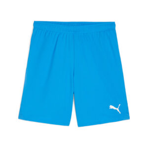 Puma Teamgoalshorts Herre Xs Blå