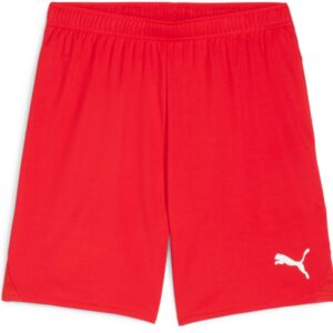 Puma Teamgoalshorts Herre Xs Rød