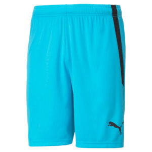 Puma Teamliga Shorts Herre Xs Blå