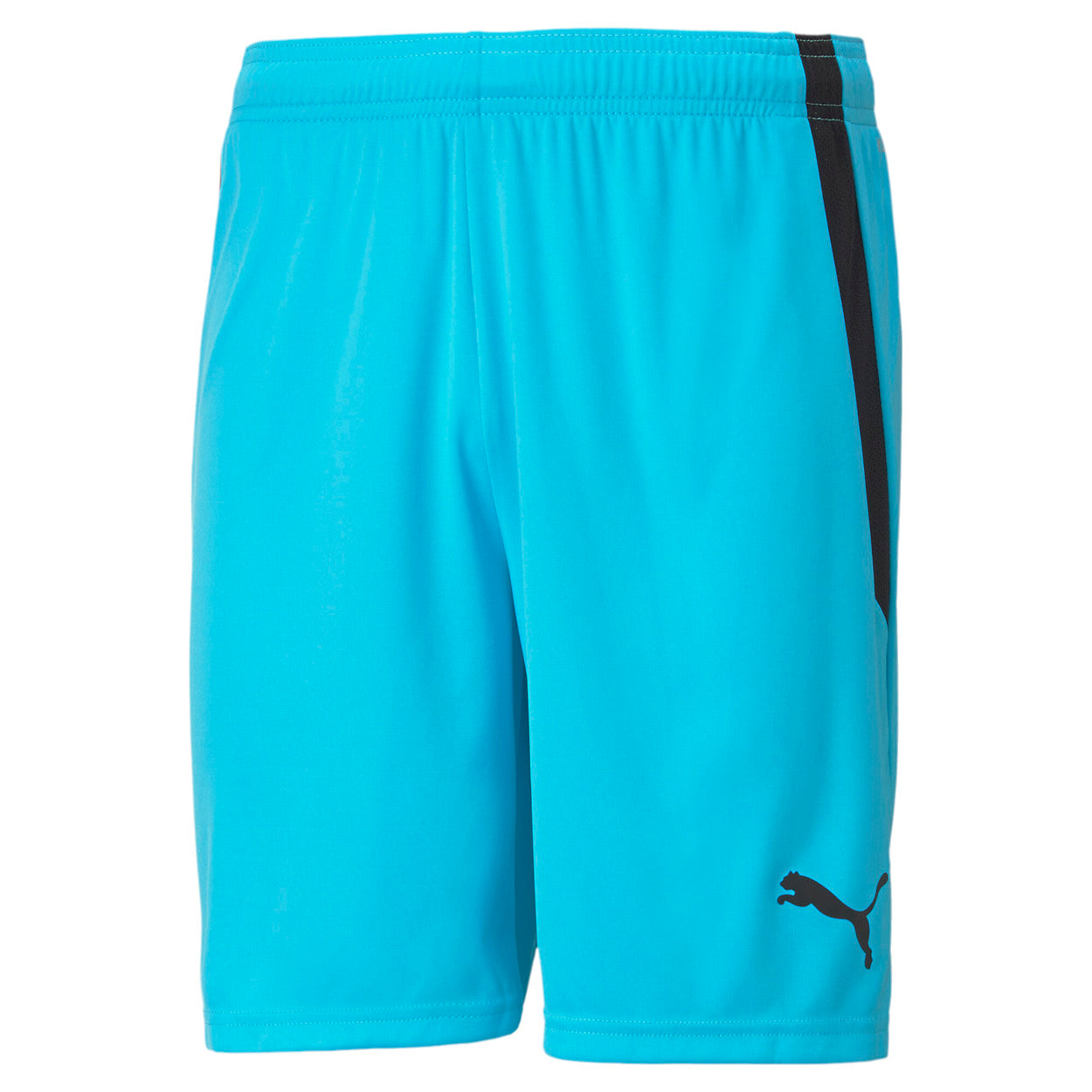 Puma Teamliga Shorts Herre Xs Blå Puma Teamliga Shorts Herre Xs Blå
