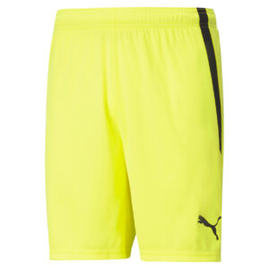 Puma Teamliga Shorts Herre Xs Gul