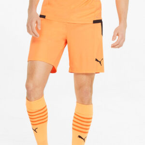 Puma Teamliga Shorts Herre Xs Orange