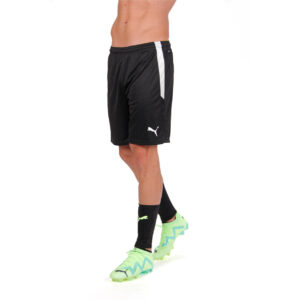 Puma Teamliga Shorts Herre Xs Sort