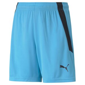 Puma Teamliga Shorts Unisex 128 Blå