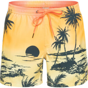 Quiksilver Everyday Paradise Volley 15" Badeshorts Herre Gul