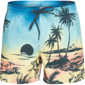 Quiksilver Everyday Paradise Volley 15" Badeshorts Herre M Blå
