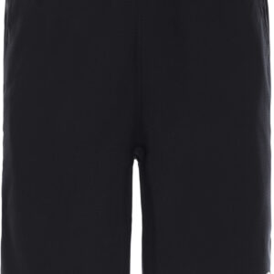 The North Face Train N Logo Shorts Herre Xxl Sort