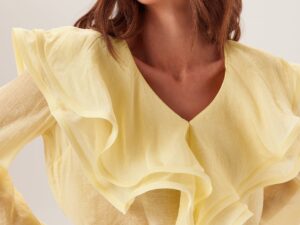 Flounce Sheer Blouse