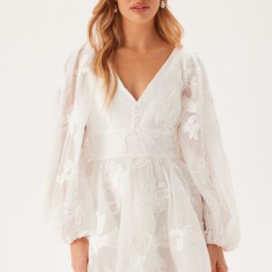 Eva Chiffon Mini Dress