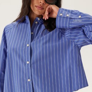 Yd Stripe Boxy Cropped Shirt
